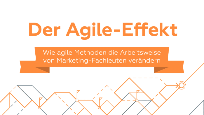 Agile Effekt Marketing Team